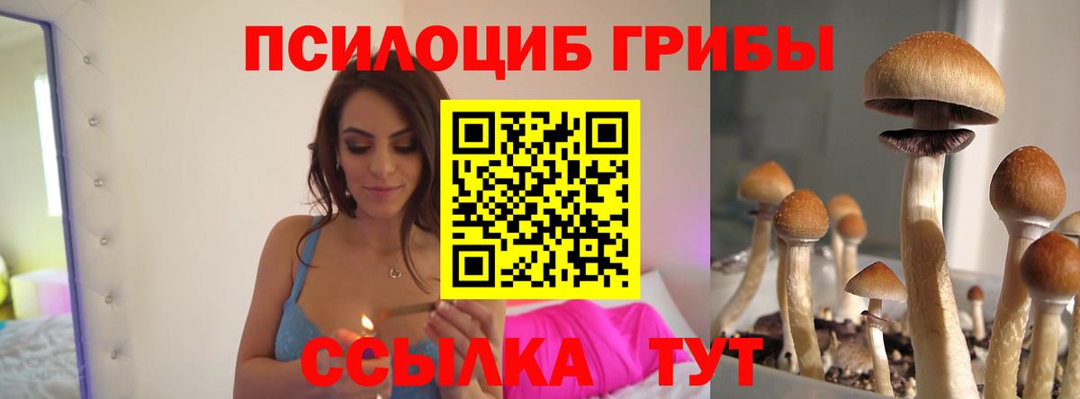 Гуково  Галлюциногенные грибы прущие грибы  Вход с VPN 